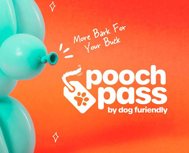 Pooch pass by dog furiendly