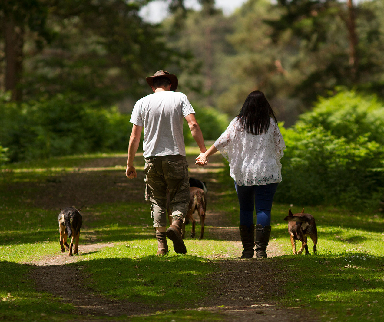 Two people walking their dogs in the forest, holding hands.